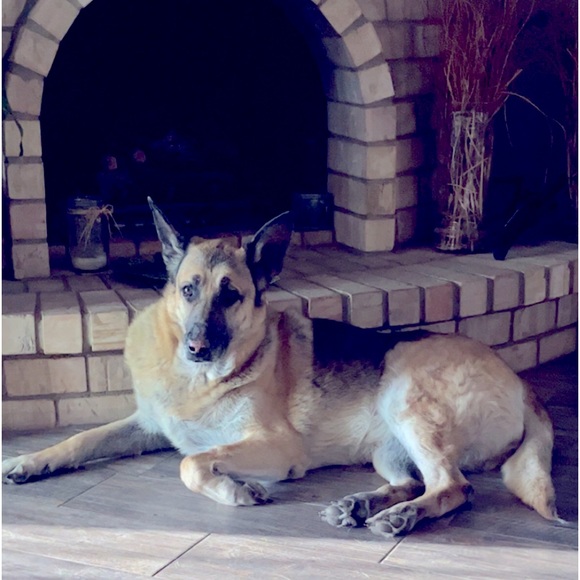 Meet your Posher, Irene - Picture 2 of 3